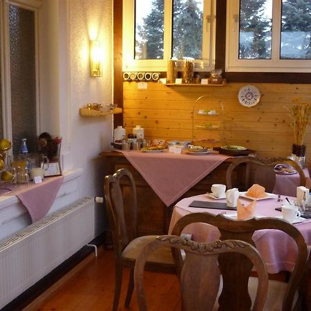 Pension Elchlepp Radebeul Dış mekan fotoğraf